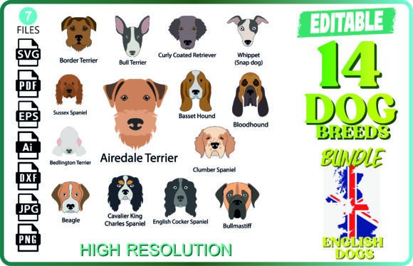 14 English Dog Breeds Bundle