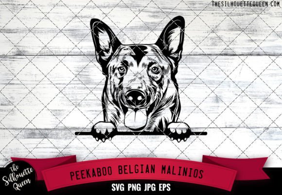Belgian Malinios Peekaboo Dog Face
