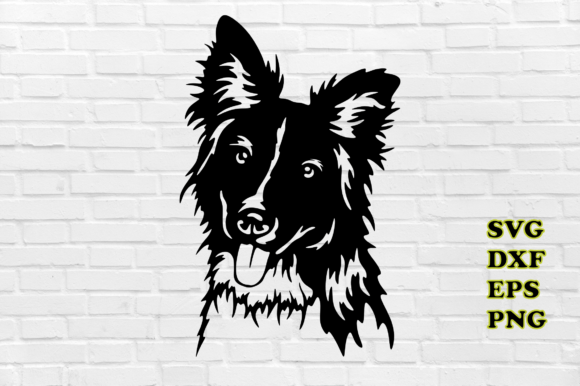 Dog Border Collie