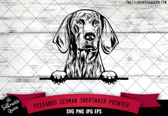 German Shorthair Pointer Peekaboo Dog Fa