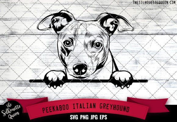 Italian Greyhound Peekaboo Dog Face