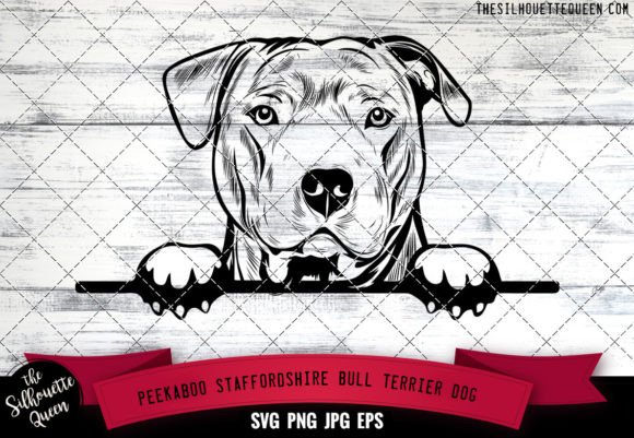 Staffordshire Bull Terrier Peekaboo Dog