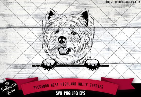 West Highland White Terrier Peekaboo Dog